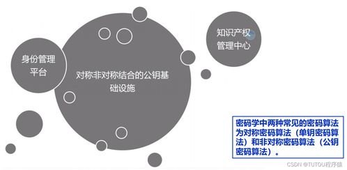 物聯(lián)網(wǎng)安全架構(gòu)、基礎(chǔ)設(shè)施與安全軟件開(kāi)發(fā) 構(gòu)建可信的互聯(lián)世界